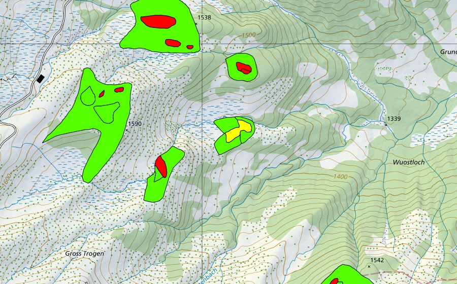 Landeskarte swisstopo mit dem Schutzperimeter von Trogenwald (Hochmoor)