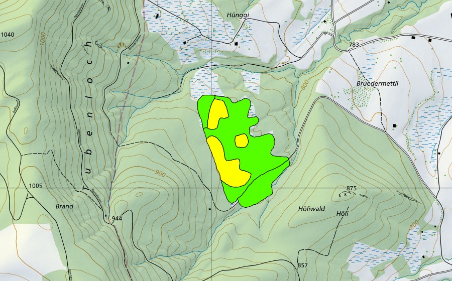 Landeskarte swisstopo mit dem Schutzperimeter von Tubenloch/Hünggi (Hochmoor)