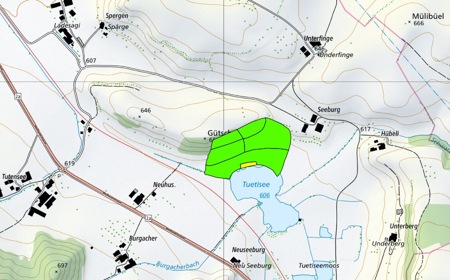 swisstopo national map showing the protected perimeter of Tuetenseeli (Raised bog)