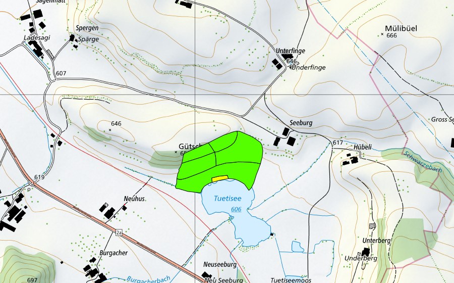 Landeskarte swisstopo mit dem Schutzperimeter von Tuetenseeli (Hochmoor)