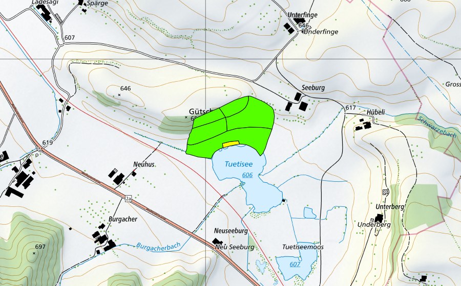 Carte nationale swisstopo avec le périmètre protégé de Tuetenseeli (Haut-marais)
