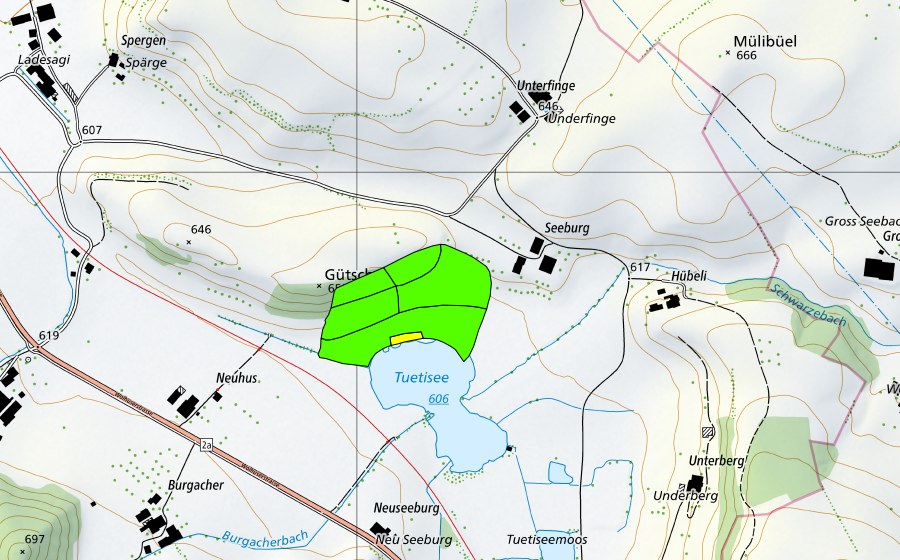 Landeskarte swisstopo mit dem Schutzperimeter von Tuetenseeli (Hochmoor)