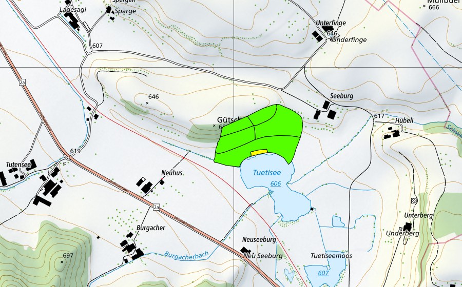 Landeskarte swisstopo mit dem Schutzperimeter von Tuetenseeli (Hochmoor)