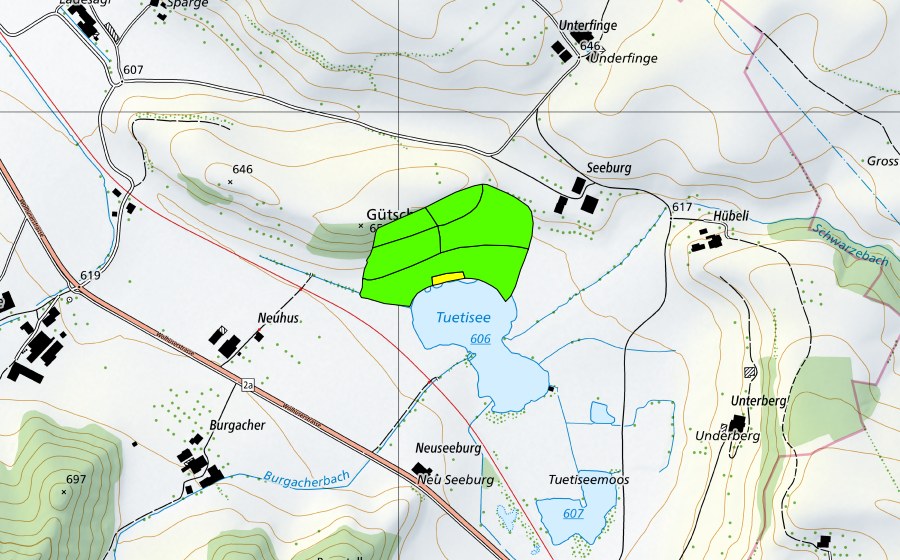 Landeskarte swisstopo mit dem Schutzperimeter von Tuetenseeli (Hochmoor)