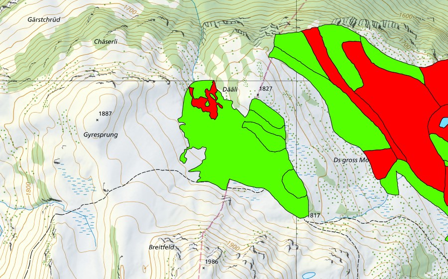 Carte nationale swisstopo avec le périmètre protégé de Turen/Chaltenbrunnen/Stäckewäldli (Haut-marais)