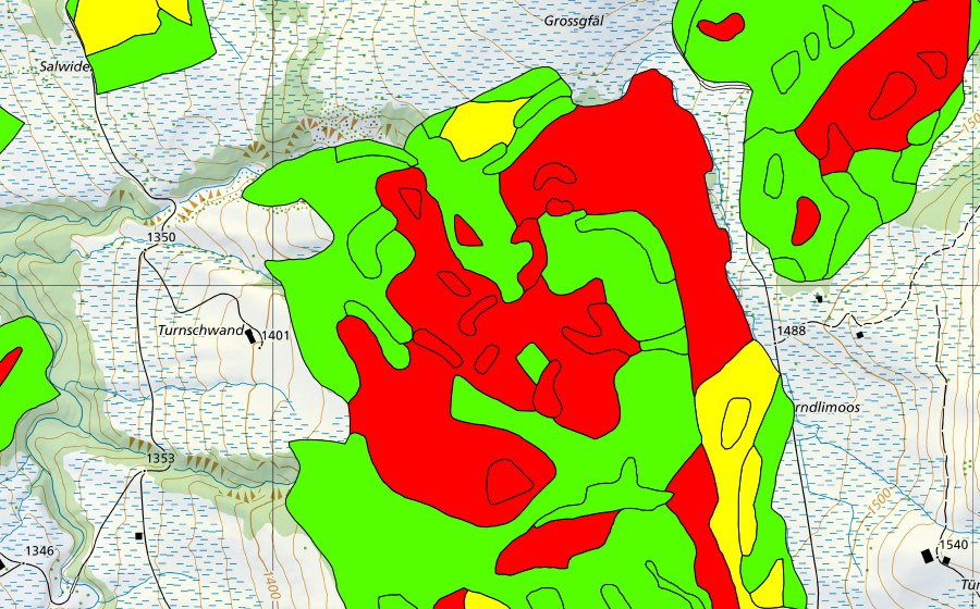 swisstopo national map showing the protected perimeter of Türnliwald (Raised bog)