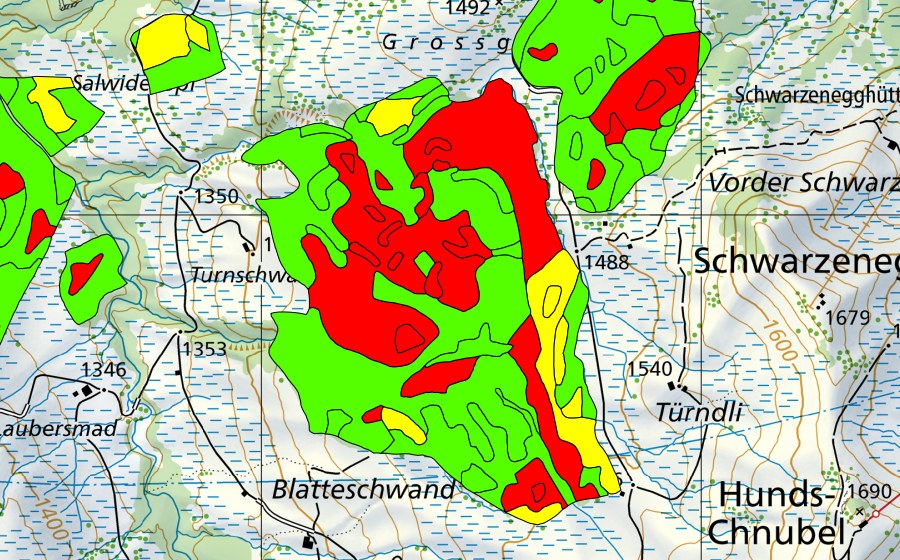 Landeskarte swisstopo mit dem Schutzperimeter von Türnliwald (Hochmoor)