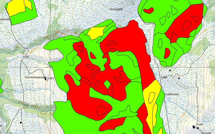 Landeskarte swisstopo mit dem Schutzperimeter von Türnliwald (Hochmoor)