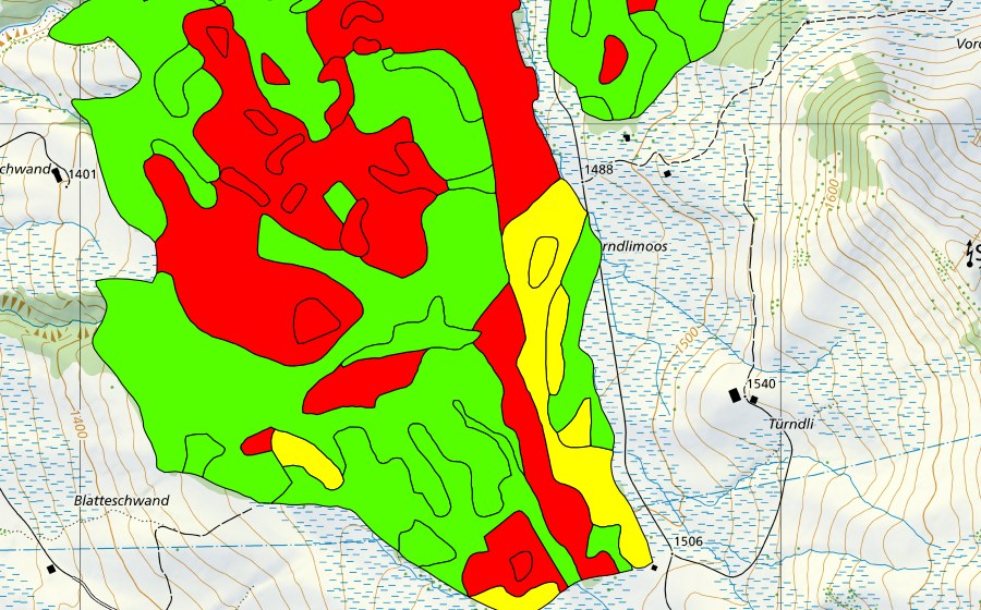 swisstopo national map showing the protected perimeter of Türnliwald (Raised bog)