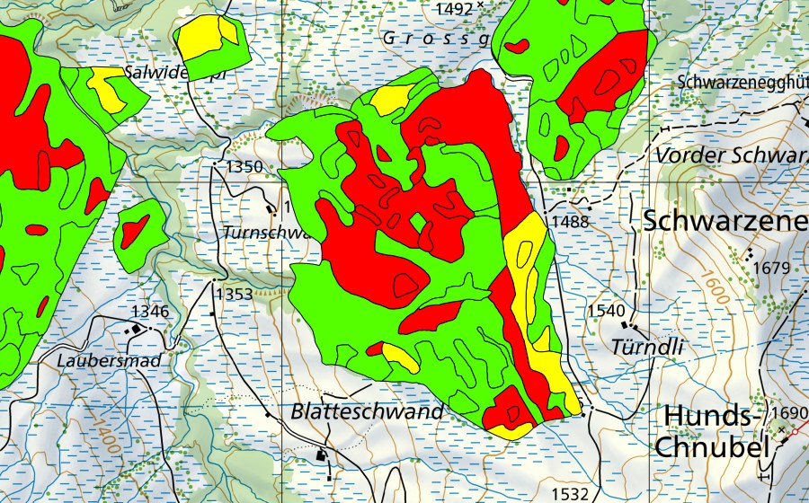 Landeskarte swisstopo mit dem Schutzperimeter von Türnliwald (Hochmoor)