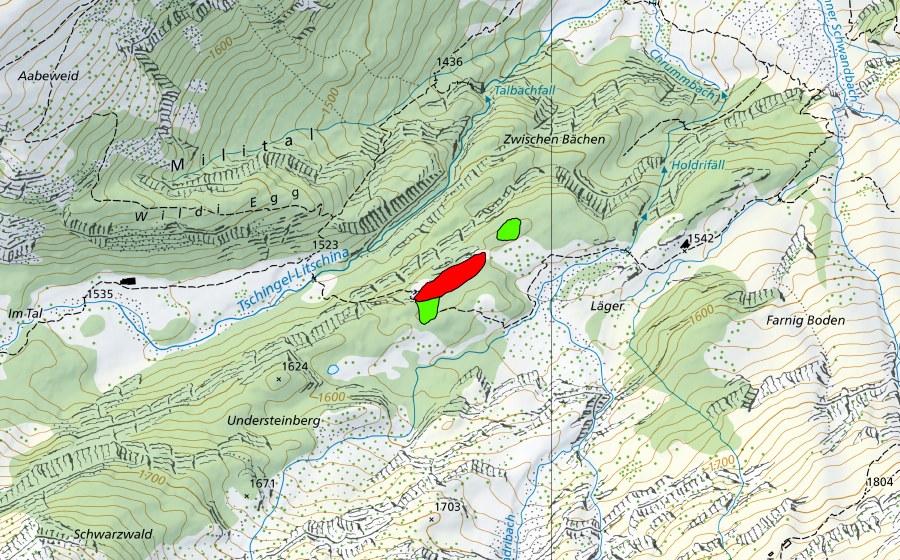 swisstopo national map showing the protected perimeter of Understeinberg (Raised bog)