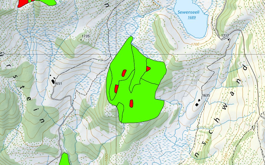 Landeskarte swisstopo mit dem Schutzperimeter von Unter Sewen (Hochmoor)