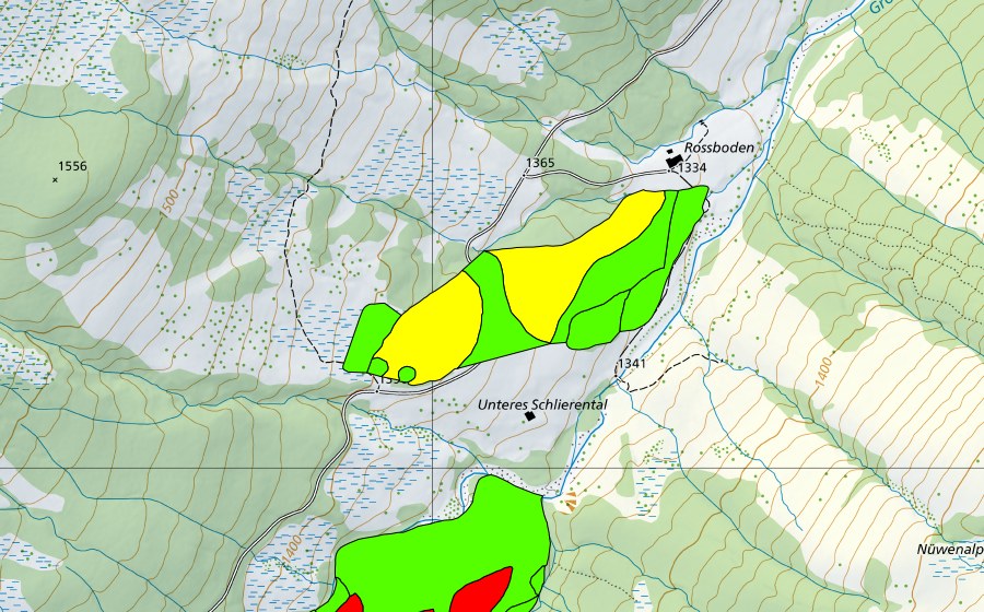 Landeskarte swisstopo mit dem Schutzperimeter von Unteres Schlierental (Hochmoor)