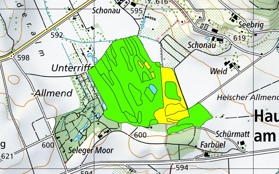 Carte nationale swisstopo avec le périmètre protégé de Unterrifferswilermoos/Chrutzelen/Oberrifferswilermoos (Haut-marais)