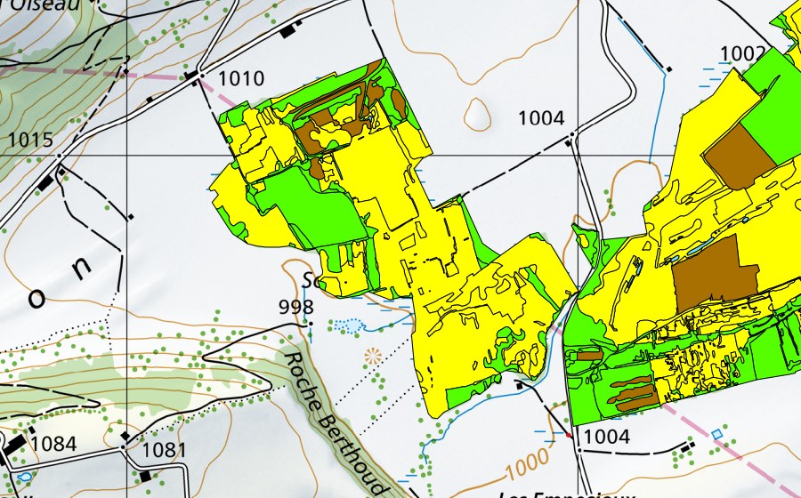 Landeskarte swisstopo mit dem Schutzperimeter von Vallée des Ponts-de-Martel (Bois des Lattes/Marais Rouge) (Hochmoor)