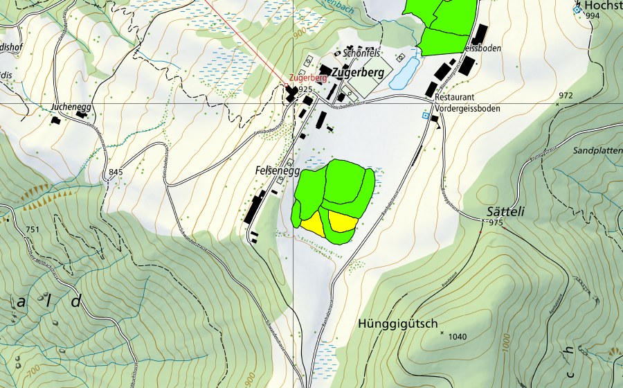Landeskarte swisstopo mit dem Schutzperimeter von Vorderer Geissboden (Hochmoor)