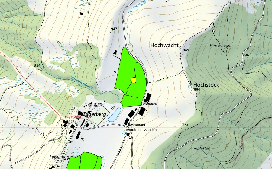 Landeskarte swisstopo mit dem Schutzperimeter von Vorderer Geissboden (Hochmoor)