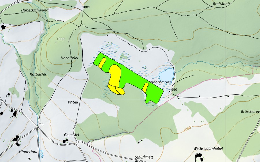swisstopo national map showing the protected perimeter of Wachseldornmoos (Raised bog)