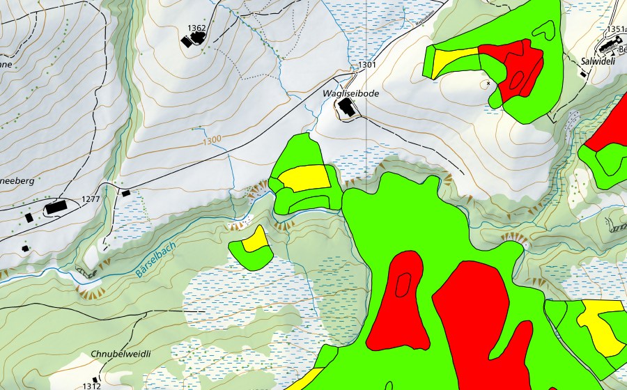 swisstopo national map showing the protected perimeter of Wagliseiboden (Raised bog)