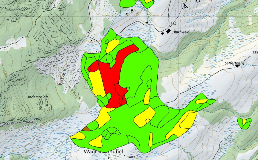 Landeskarte swisstopo mit dem Schutzperimeter von Wagliseichnubel (Hochmoor)