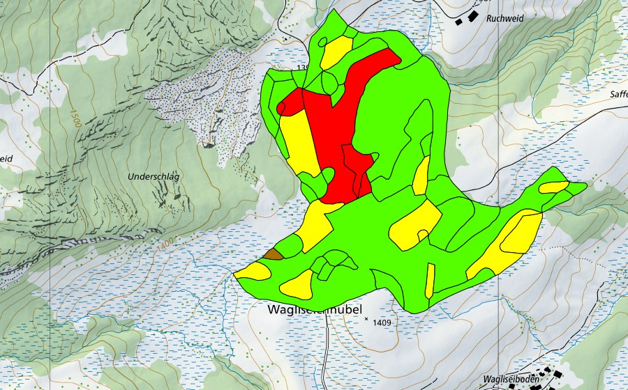 Landeskarte swisstopo mit dem Schutzperimeter von Wagliseichnubel (Hochmoor)