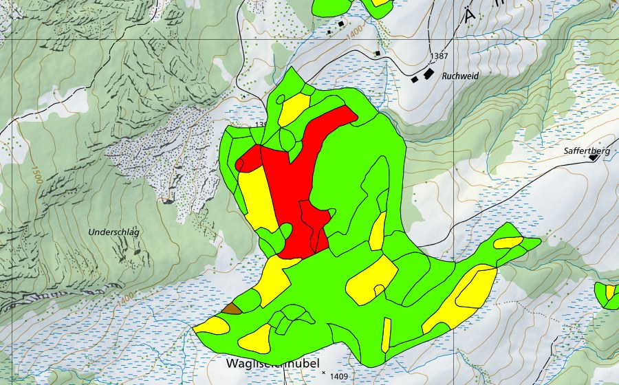 Landeskarte swisstopo mit dem Schutzperimeter von Wagliseichnubel (Hochmoor)