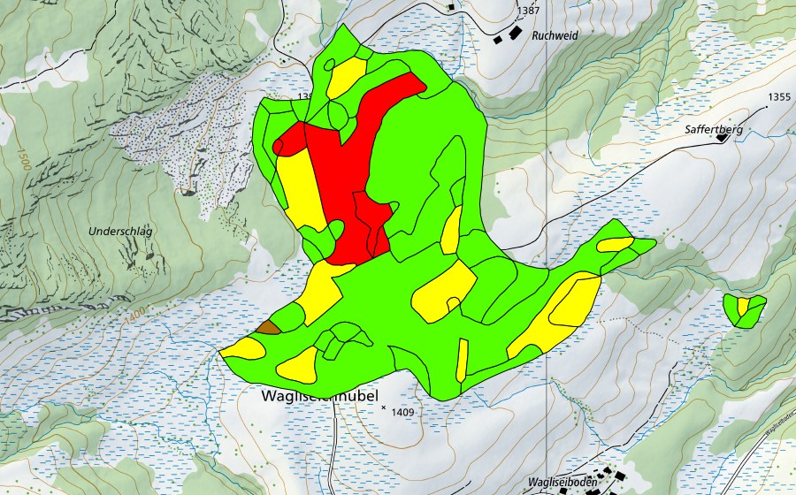 Landeskarte swisstopo mit dem Schutzperimeter von Wagliseichnubel (Hochmoor)