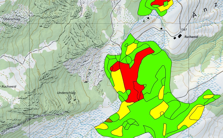swisstopo national map showing the protected perimeter of Wagliseichnubel (Raised bog)