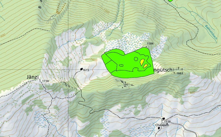 swisstopo national map showing the protected perimeter of Wengli (Raised bog)