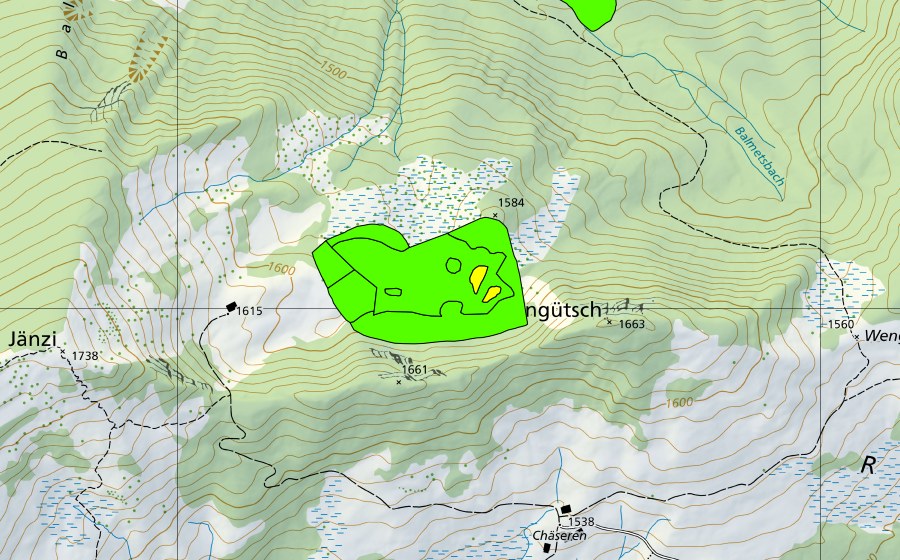 Carte nationale swisstopo avec le périmètre protégé de Wengli (Haut-marais)