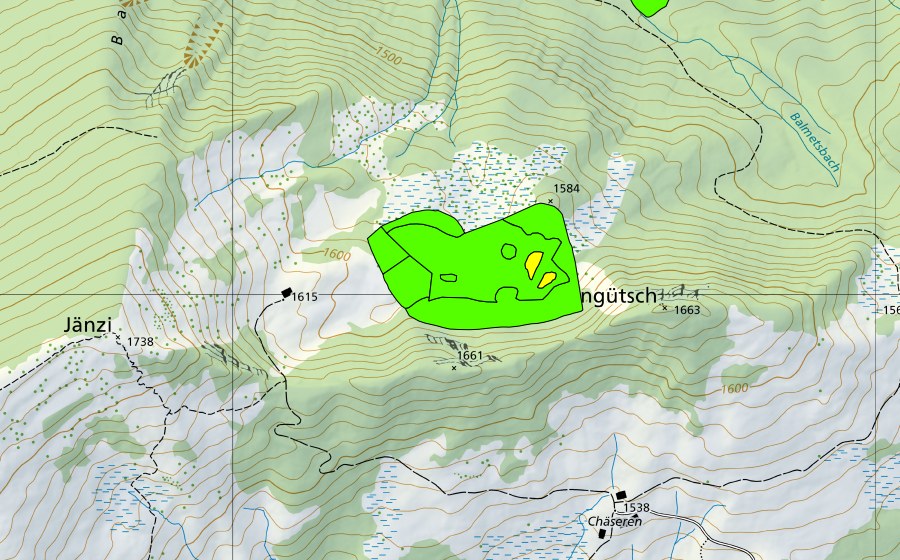 swisstopo national map showing the protected perimeter of Wengli (Raised bog)