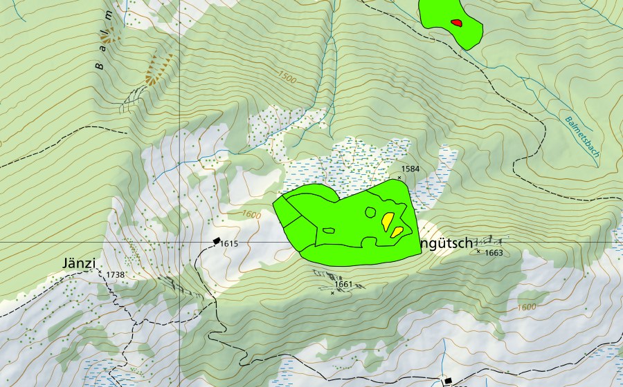 swisstopo national map showing the protected perimeter of Wengli (Raised bog)