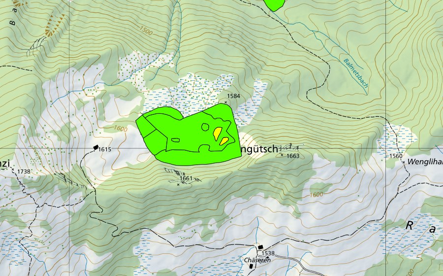 swisstopo national map showing the protected perimeter of Wengli (Raised bog)