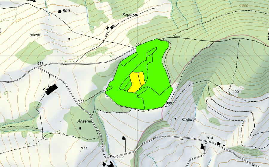 swisstopo national map showing the protected perimeter of Westlich Etzel (Raised bog)