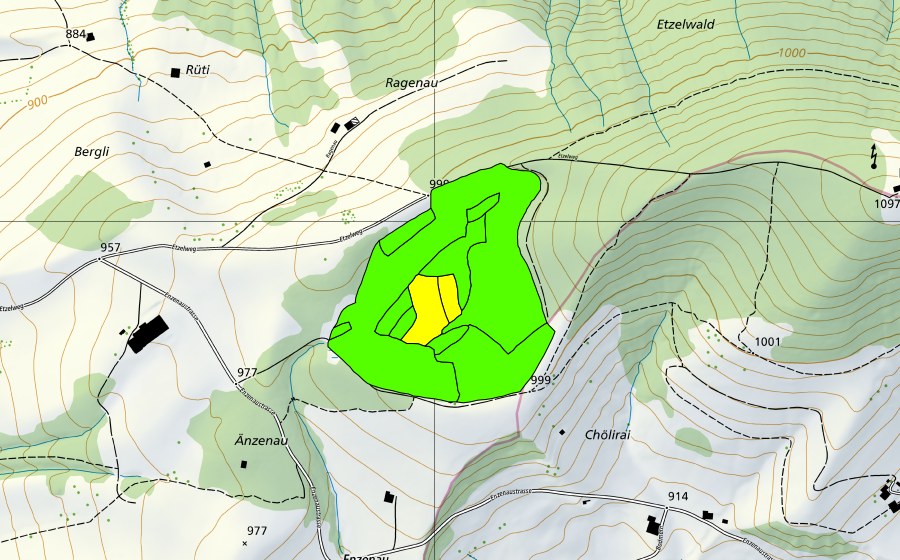 Carte nationale swisstopo avec le périmètre protégé de Westlich Etzel (Haut-marais)