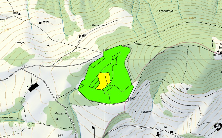 Carte nationale swisstopo avec le périmètre protégé de Westlich Etzel (Haut-marais)