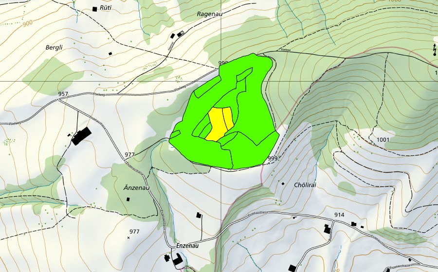 Carte nationale swisstopo avec le périmètre protégé de Westlich Etzel (Haut-marais)