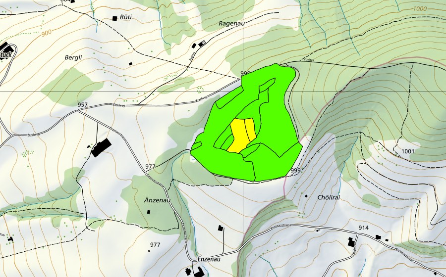 Landeskarte swisstopo mit dem Schutzperimeter von Westlich Etzel (Hochmoor)