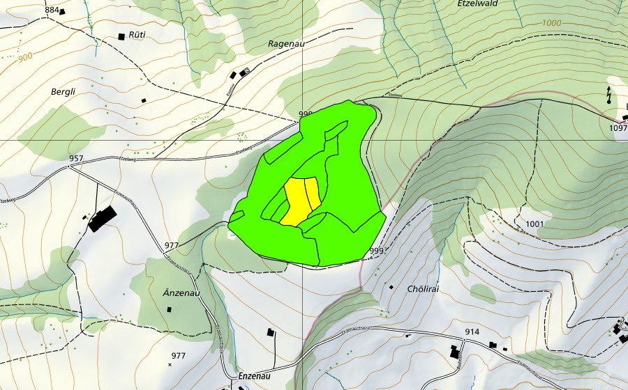 Carte nationale swisstopo avec le périmètre protégé de Westlich Etzel (Haut-marais)