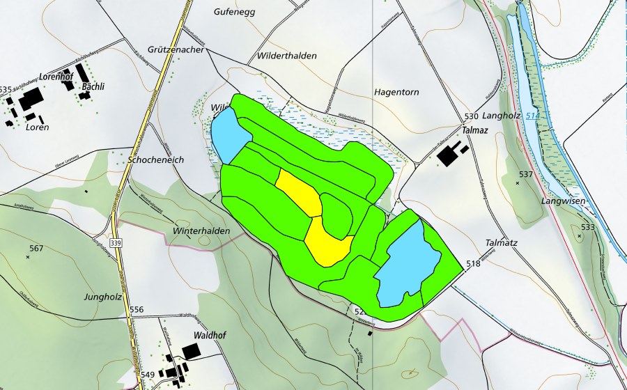 swisstopo national map showing the protected perimeter of Wildert (Raised bog)