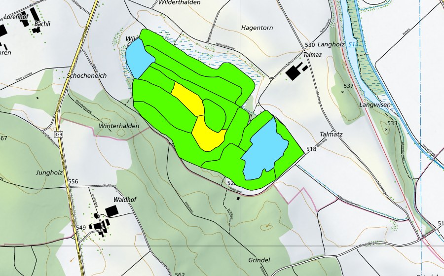 Landeskarte swisstopo mit dem Schutzperimeter von Wildert (Hochmoor)