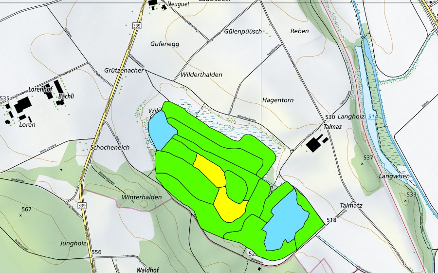 Carte nationale swisstopo avec le périmètre protégé de Wildert (Haut-marais)