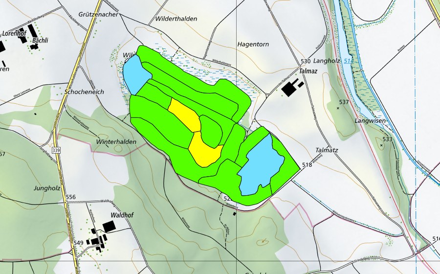 Landeskarte swisstopo mit dem Schutzperimeter von Wildert (Hochmoor)