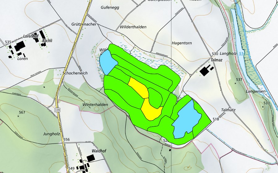Carte nationale swisstopo avec le périmètre protégé de Wildert (Haut-marais)
