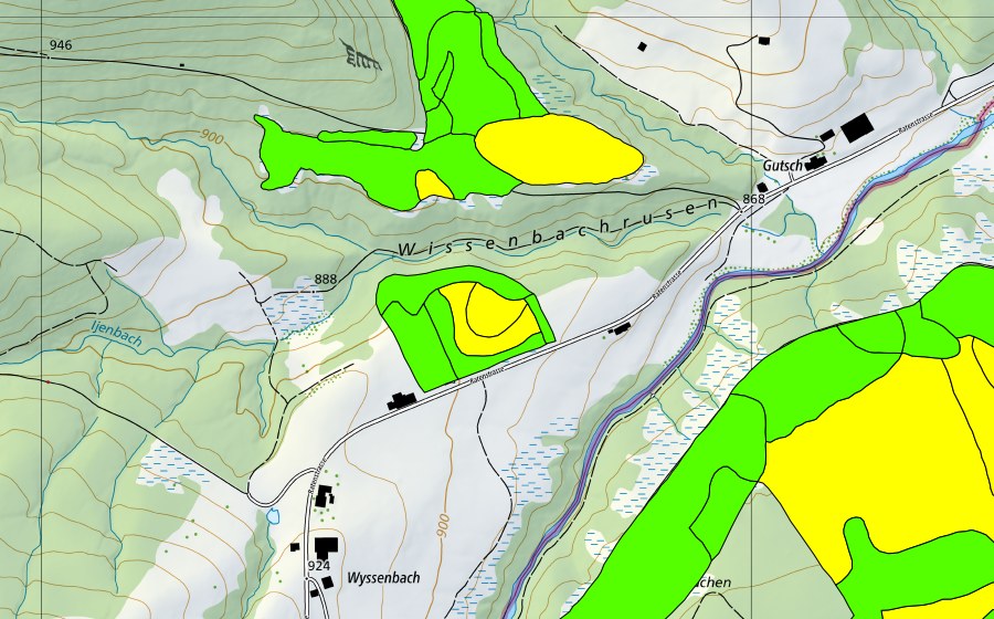 swisstopo national map showing the protected perimeter of Wissenbach (Raised bog)