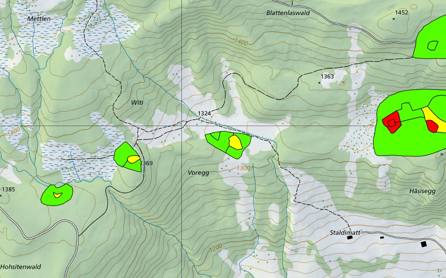 Carte nationale swisstopo avec le périmètre protégé de Witi (Haut-marais)