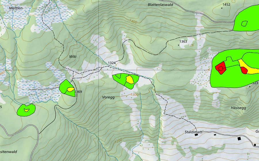 Landeskarte swisstopo mit dem Schutzperimeter von Witi (Hochmoor)