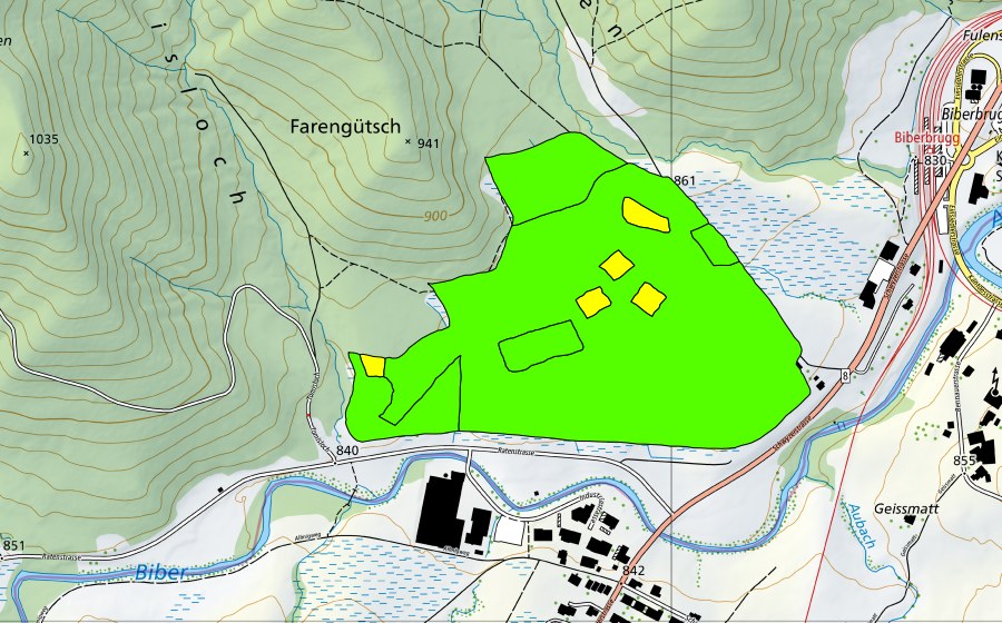 Landeskarte swisstopo mit dem Schutzperimeter von Witi (Hochmoor)