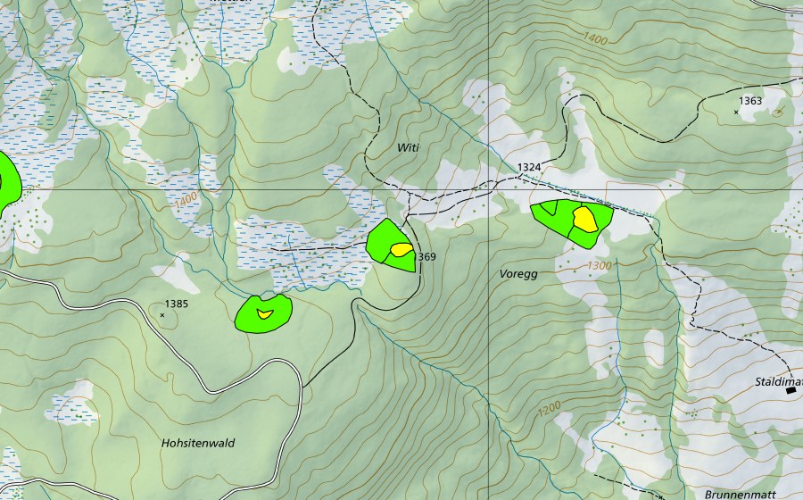 Carte nationale swisstopo avec le périmètre protégé de Witi (Haut-marais)