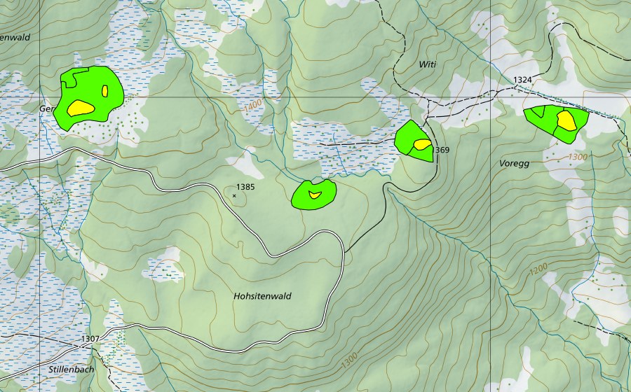 swisstopo national map showing the protected perimeter of Witi (Raised bog)